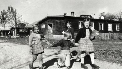 Das Flüchtlingslager Spittal in den frühen 1950er-Jahren. © Kärntner Landesarchiv